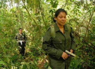 Image du film Guérilla des Farc